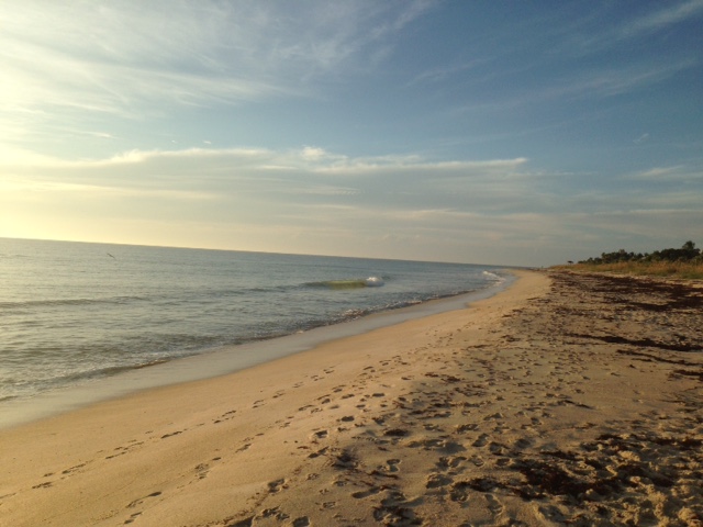 Use Your IRA to Support the Causes You Love Forever